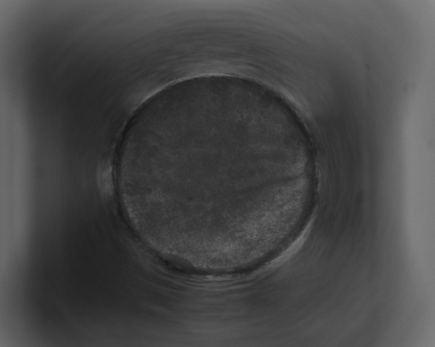 X0000100491497200807111111