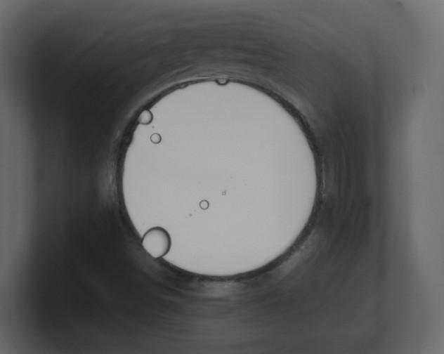 X0000100491498200807111111