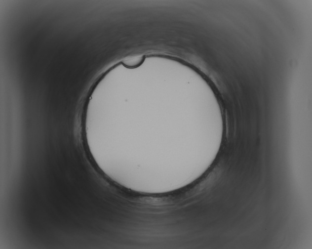 X0000100491500200807111111