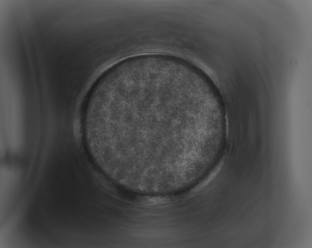 X0000100491501200807111111