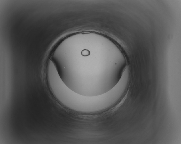 X0000100491502200807111111