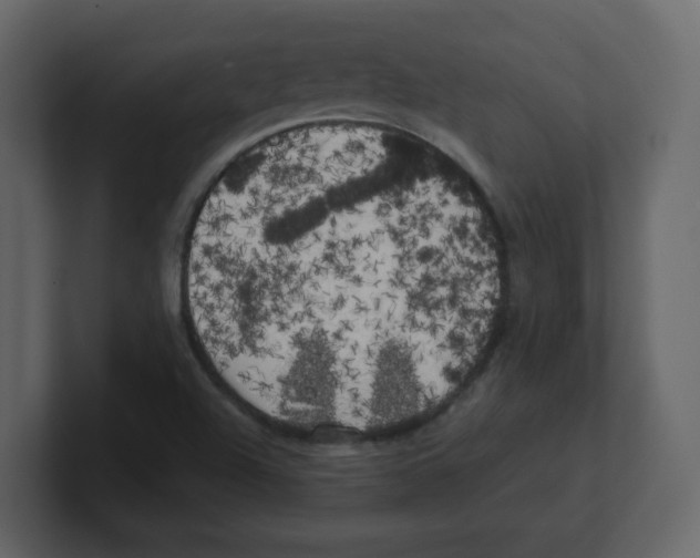 X0000100491504200807111111