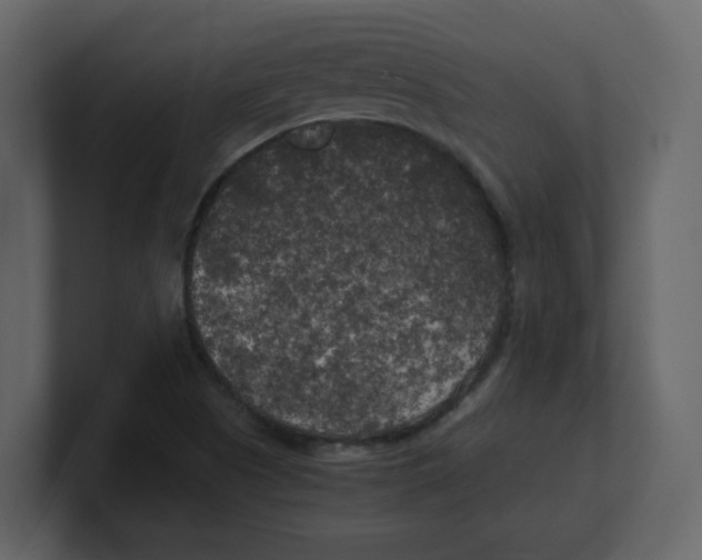 X0000100491505200807111111