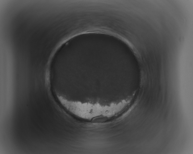 X0000100491506200807111111