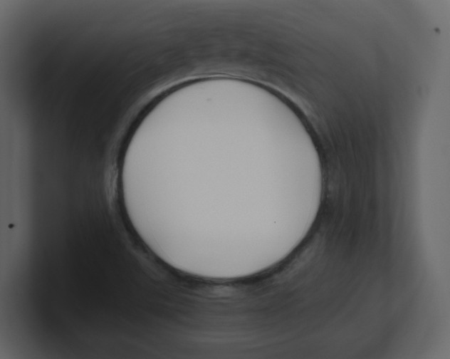 X0000100491507200807111111