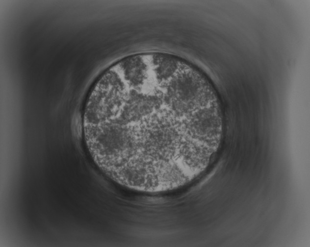 X0000100491509200807111111