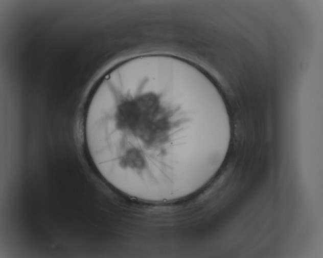 X0000100491510200807111111