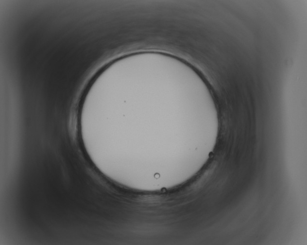 X0000100491511200807111111