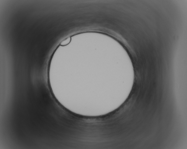 X0000100491512200807111111