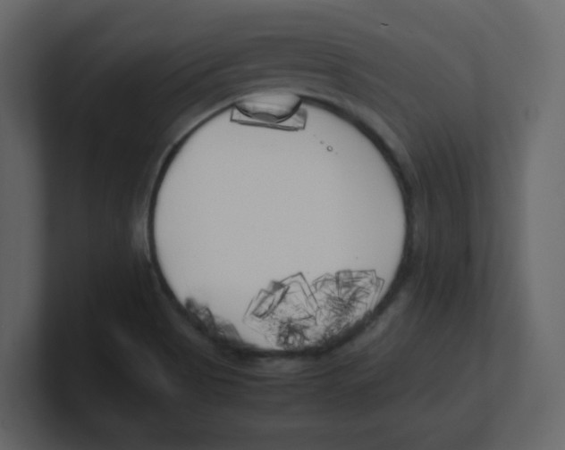 X0000100491513200807111111