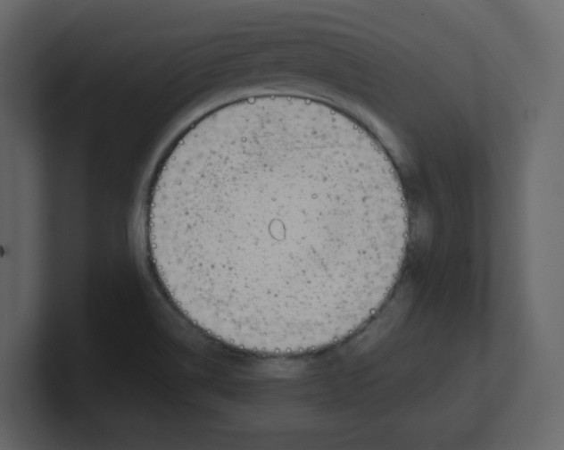 X0000100491514200807111111