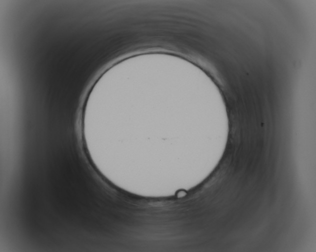 X0000100491516200807111111