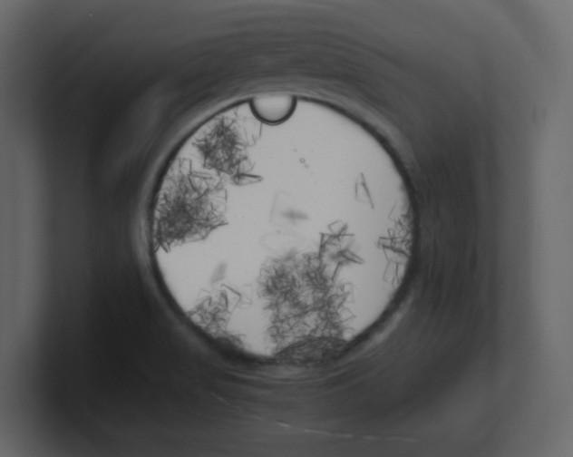 X0000100491517200807111111