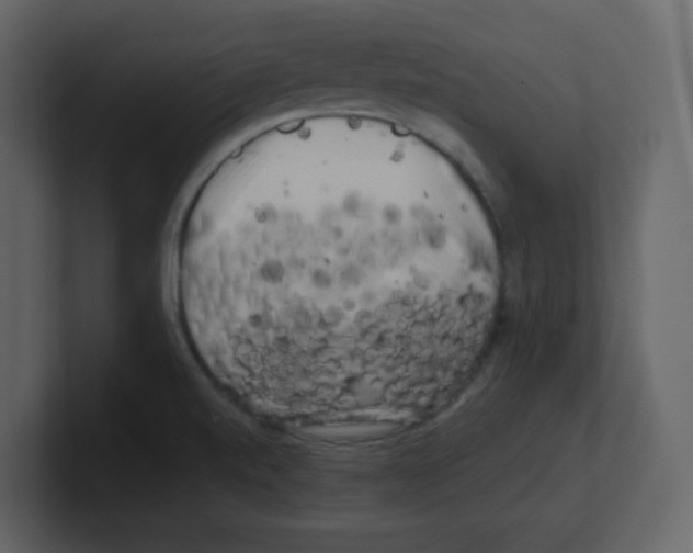 X0000100491520200807111111