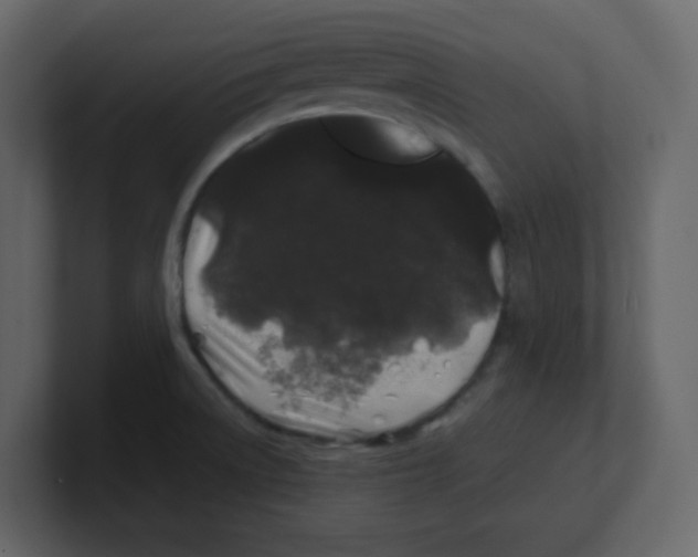 X0000100491522200807111112