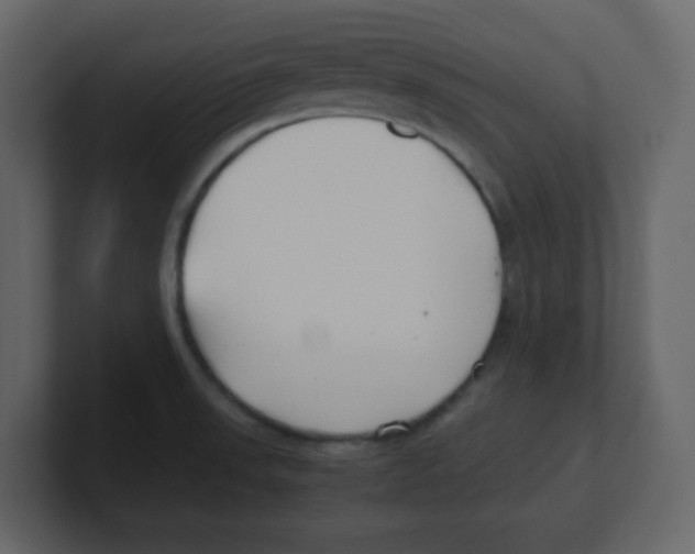 X0000100491523200807111112