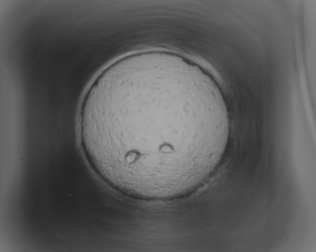 X0000100491524200807111112
