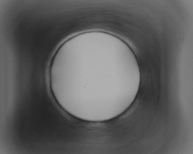 X0000100491526200807111112