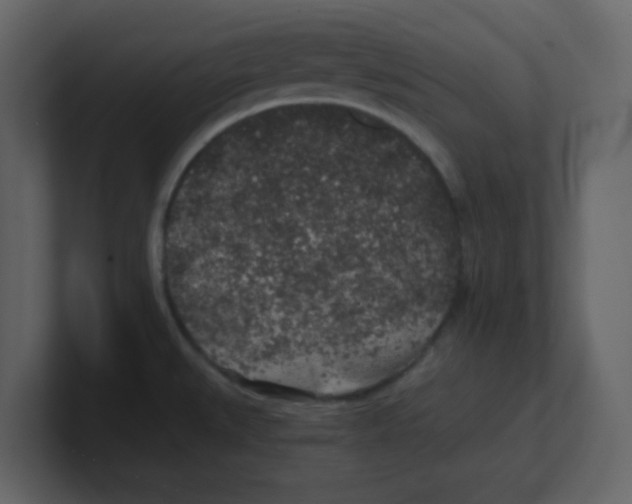 X0000100491527200807111112