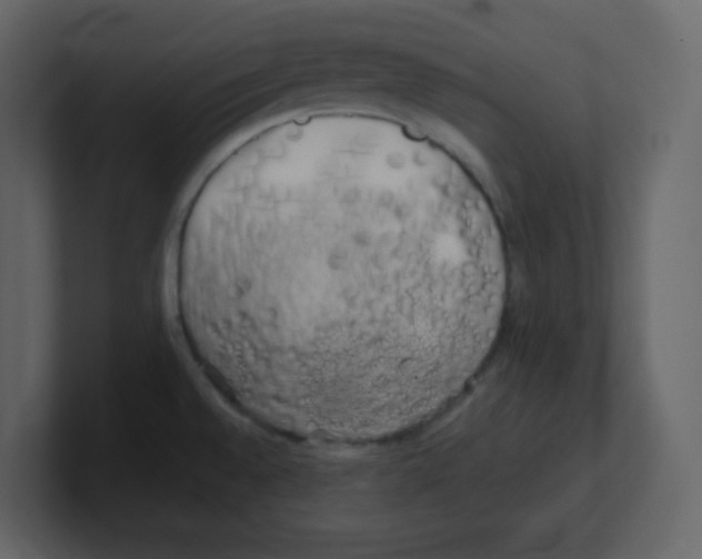 X0000100491528200807111112