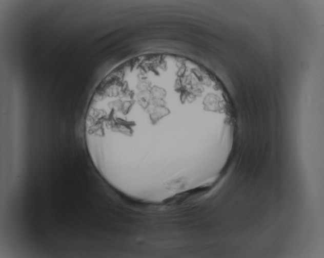 X0000100491529200807111112