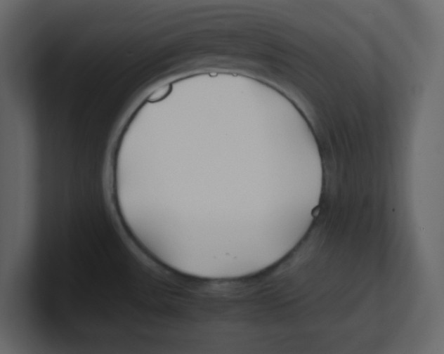 X0000100491531200807111112