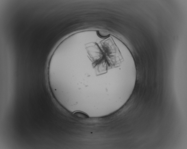X0000100491532200807111112