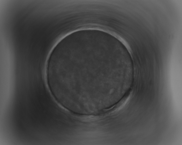 X0000100491533200807111112