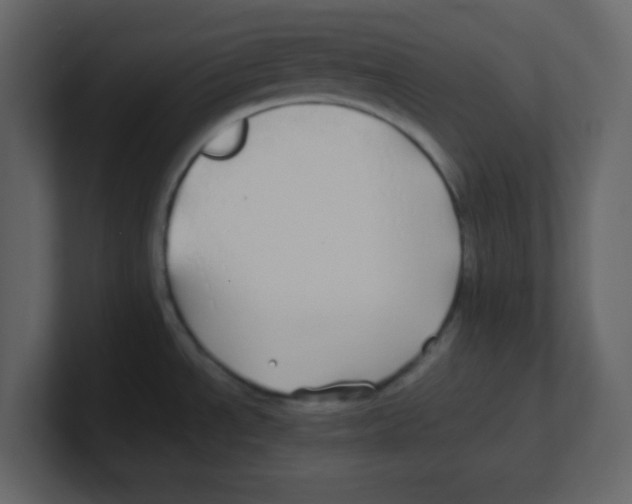 X0000100491534200807111112