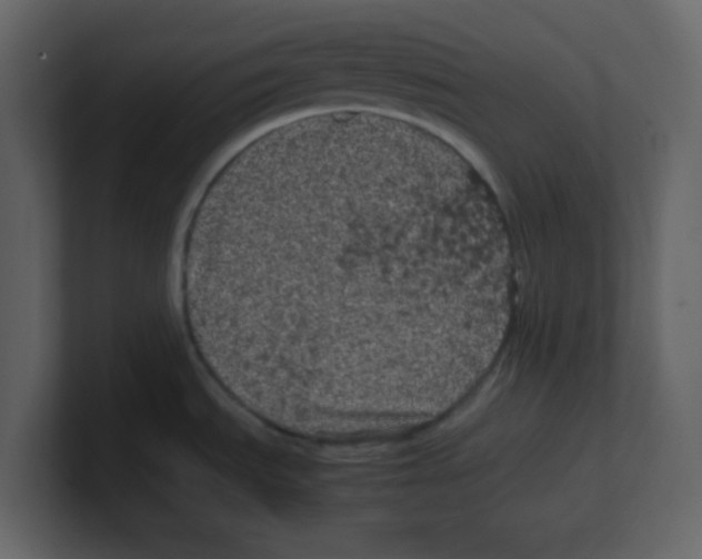 X0000100491535200807111112