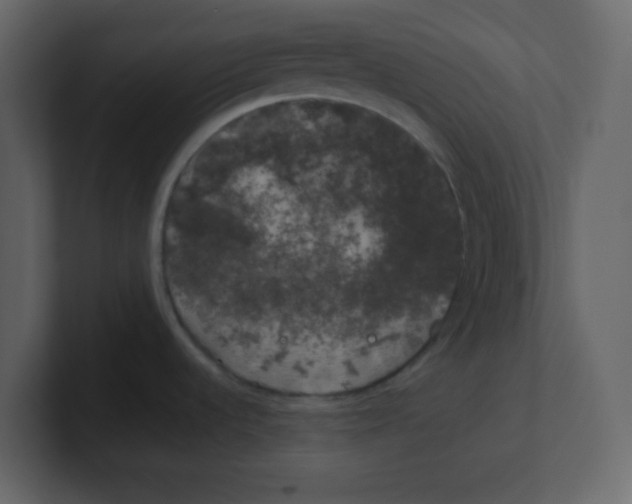 X0000100491536200807111112