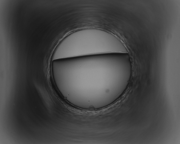 X0000100500002200806130739