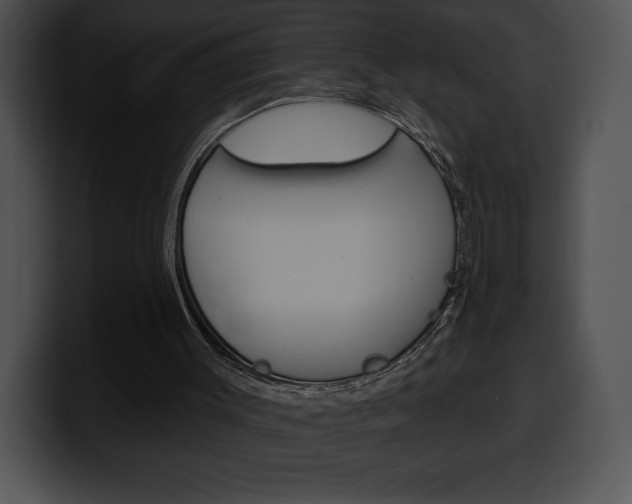 X0000100500003200806130739