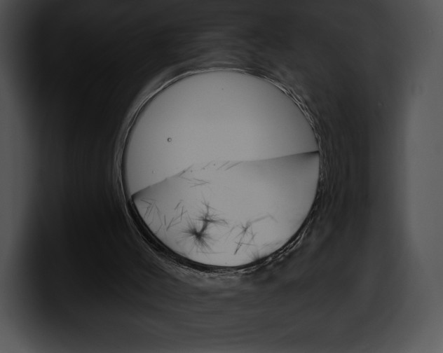 X0000100500004200806130739