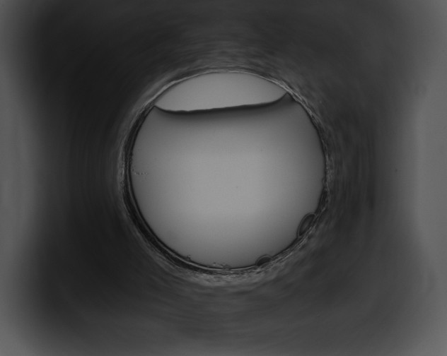 X0000100500005200806130739