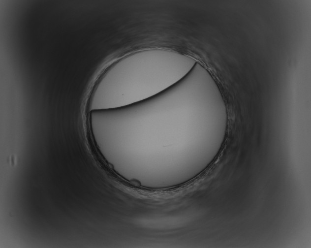 X0000100500006200806130739