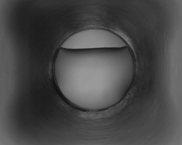 X0000100500009200806130739