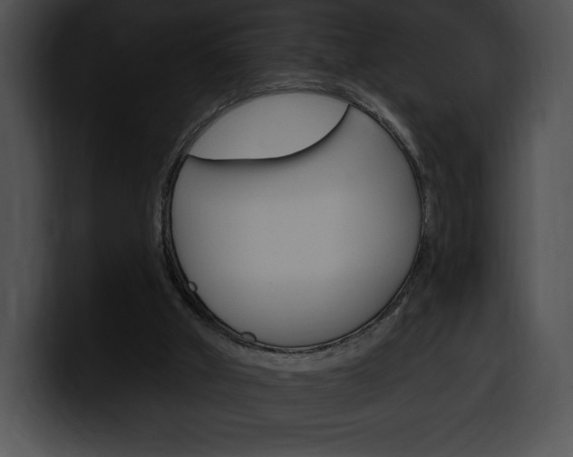 X0000100500010200806130739