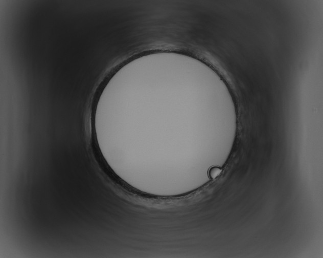 X0000100500011200806130739