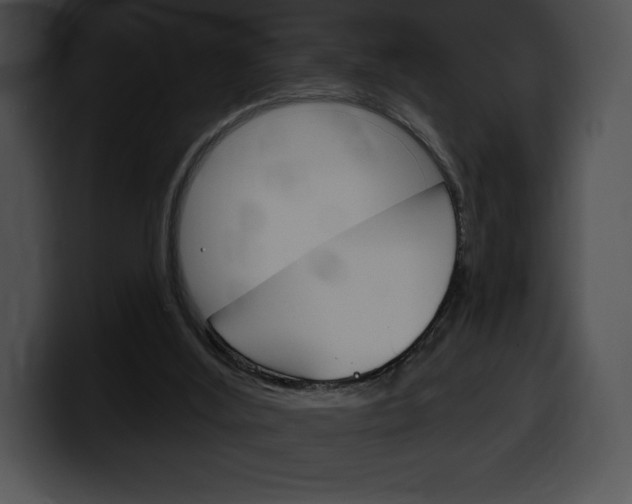 X0000100500012200806130739