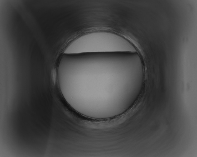 X0000100500013200806130739