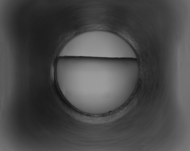 X0000100500014200806130738