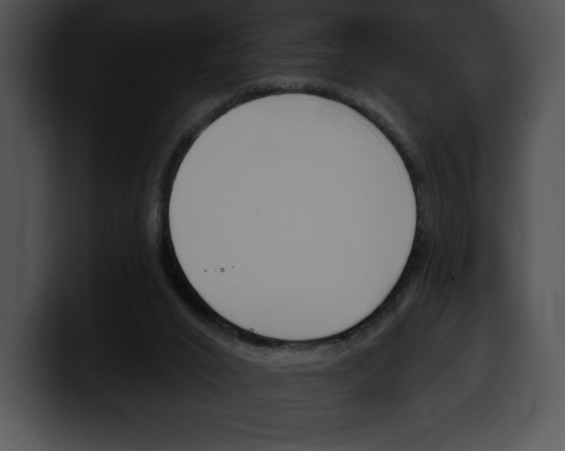 X0000100500016200806130738