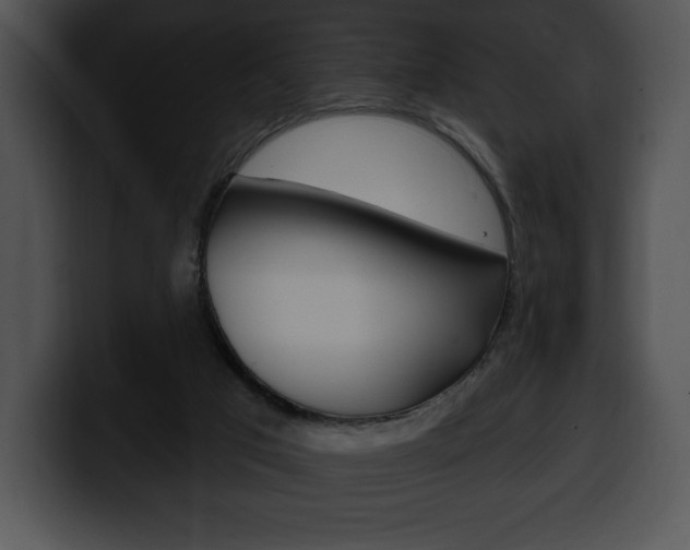 X0000100500017200806130738