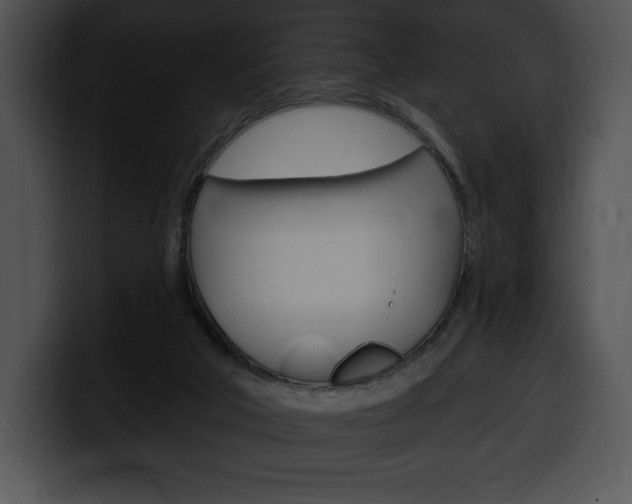 X0000100500018200806130738