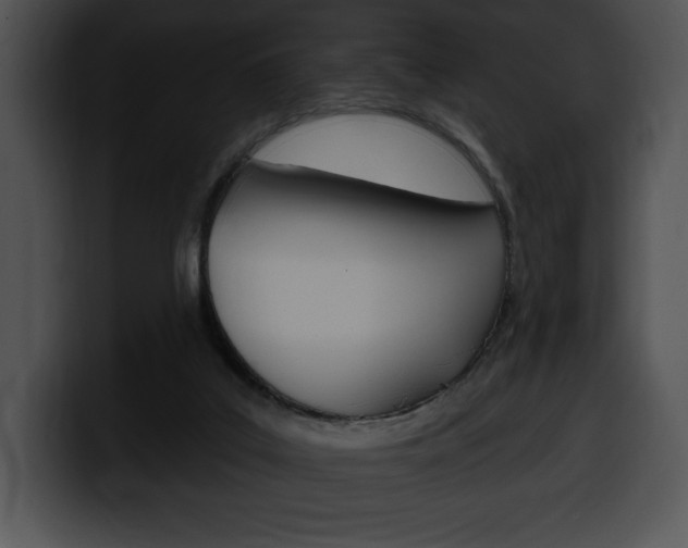 X0000100500019200806130738