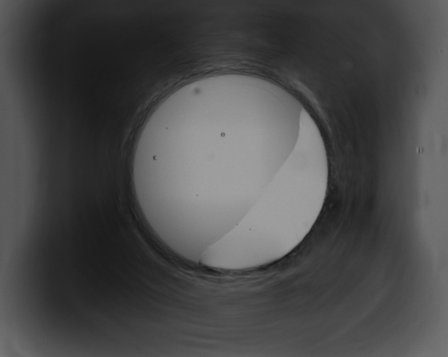 X0000100500020200806130738