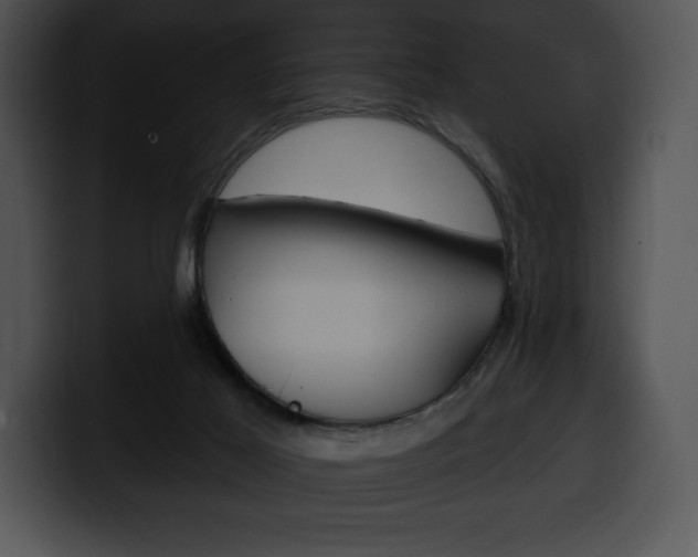 X0000100500021200806130738