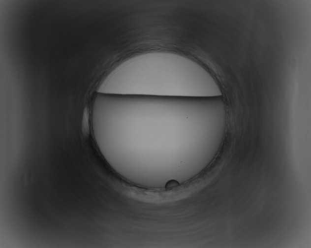 X0000100500022200806130738