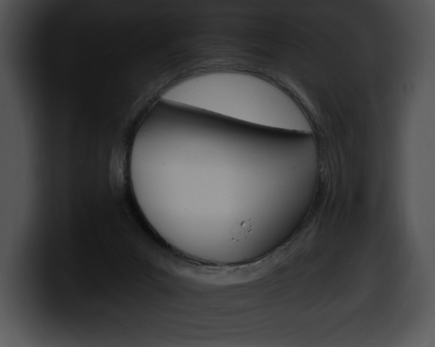 X0000100500023200806130738